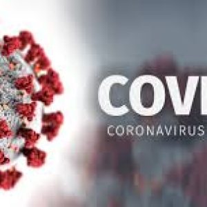 Tertiary education supporting Australia’s COVID-19 response