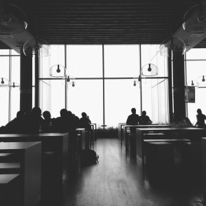 Review of the Higher Education Provider Category Standards