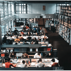 Higher education 2024: which students enrolled where?