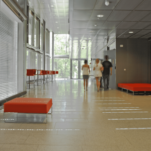 Emerging school-tertiary education models